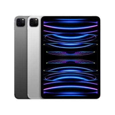 iPad Pro 11 inch (4th Gen.)