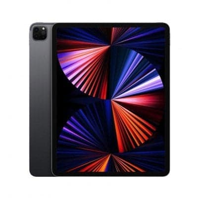 iPad Pro 12.9 inch (5th Gen.)