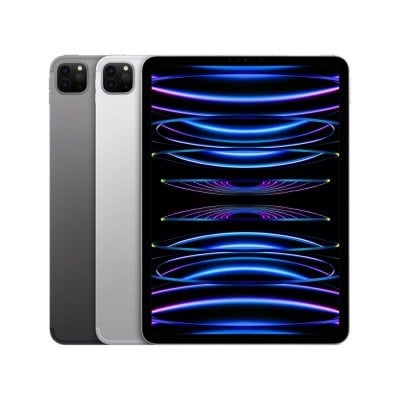 iPad Pro 11 inch (4th Gen.)